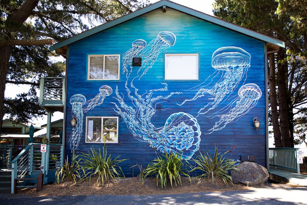Mural on wall of building in Shelter Cove CA. Arts scene