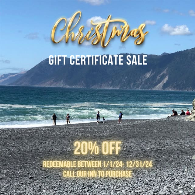 Gift Certificate Special. 20% Off - Must Call to Book. Sale Ends 12/24/23