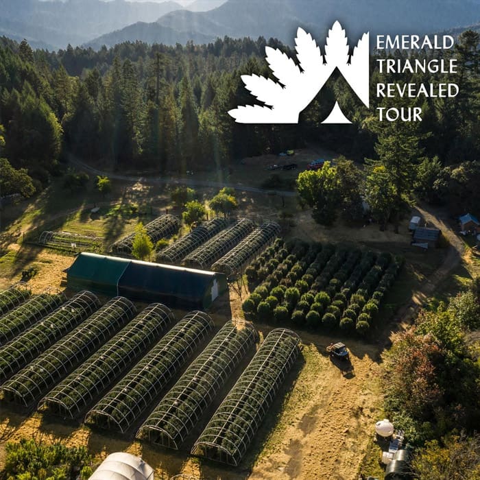 THE EMERALD TRIANGLE REVEALED TOUR 2024